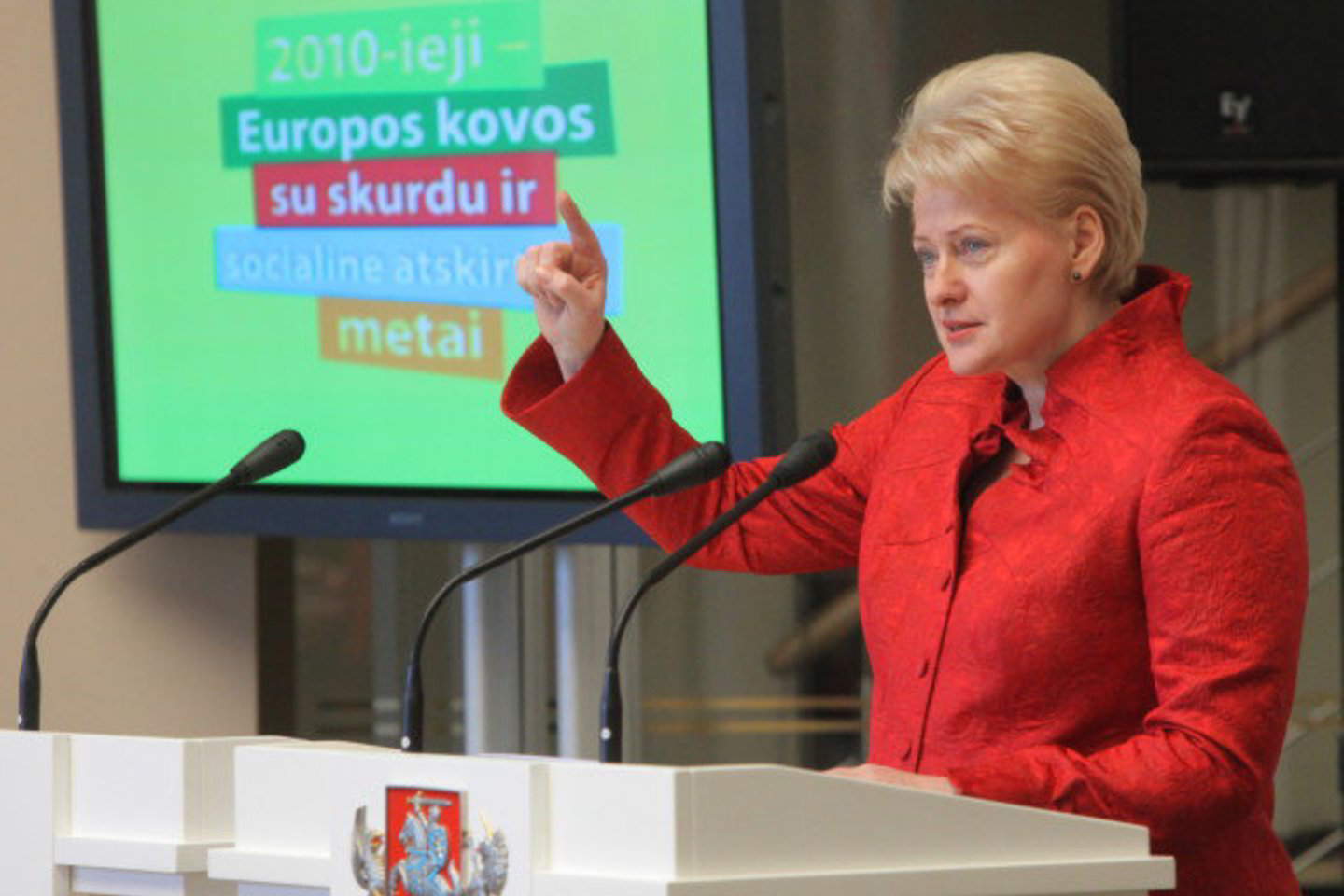Prezidentė Dalia Grybauskaitė sako, kad būtina telkti norinčiuosius padėti kitiems.