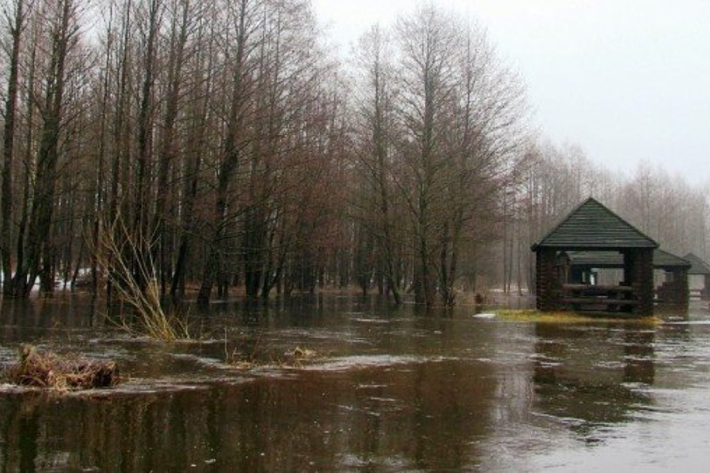 Gaujos slėnis.