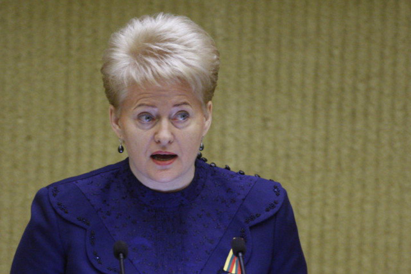 D.Grybauskaitė lankosi Briuselyje.