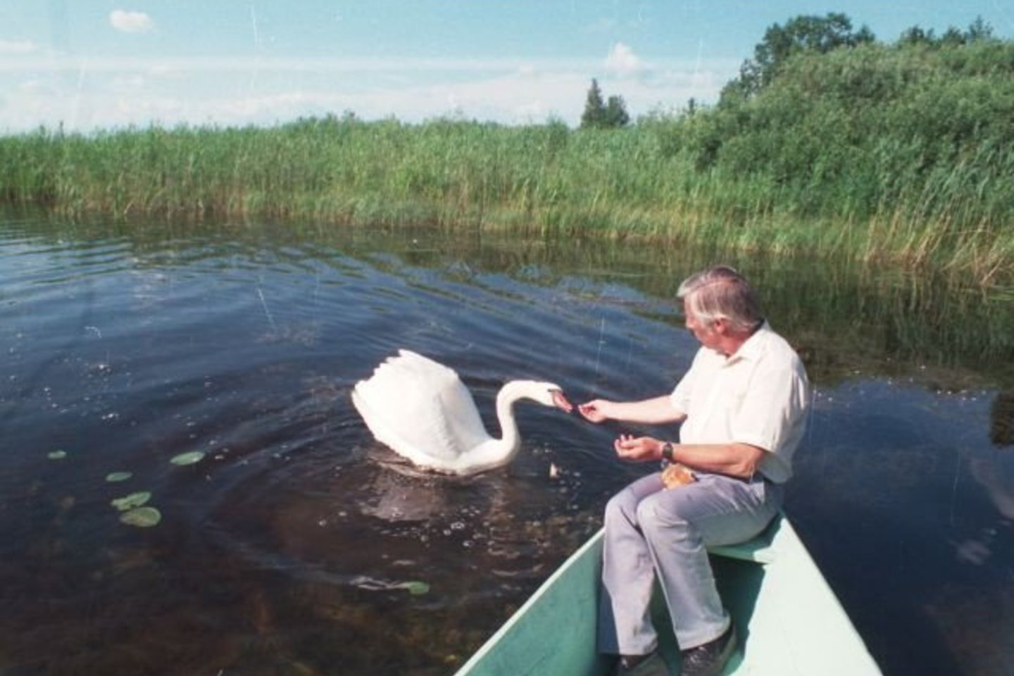 V.Nedzinskas Žuvinte.