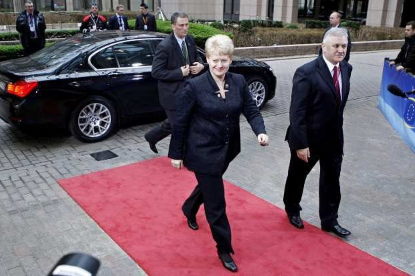 Pasak valstybės vadovės, Lietuva, kaip ir kitos šalys, per artimiausius tris mėnesius turės parengti nacionalinius raidos tikslus.