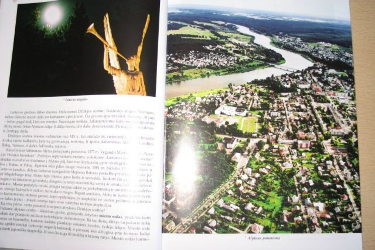 Alytaus panorama, kurioje Alytaus nėra.