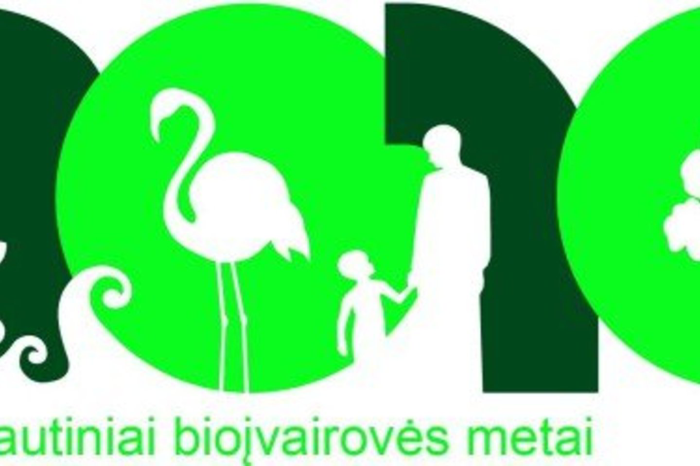 Mokiniai tausoti gamtą mokomi biologinės įvairovės metais.