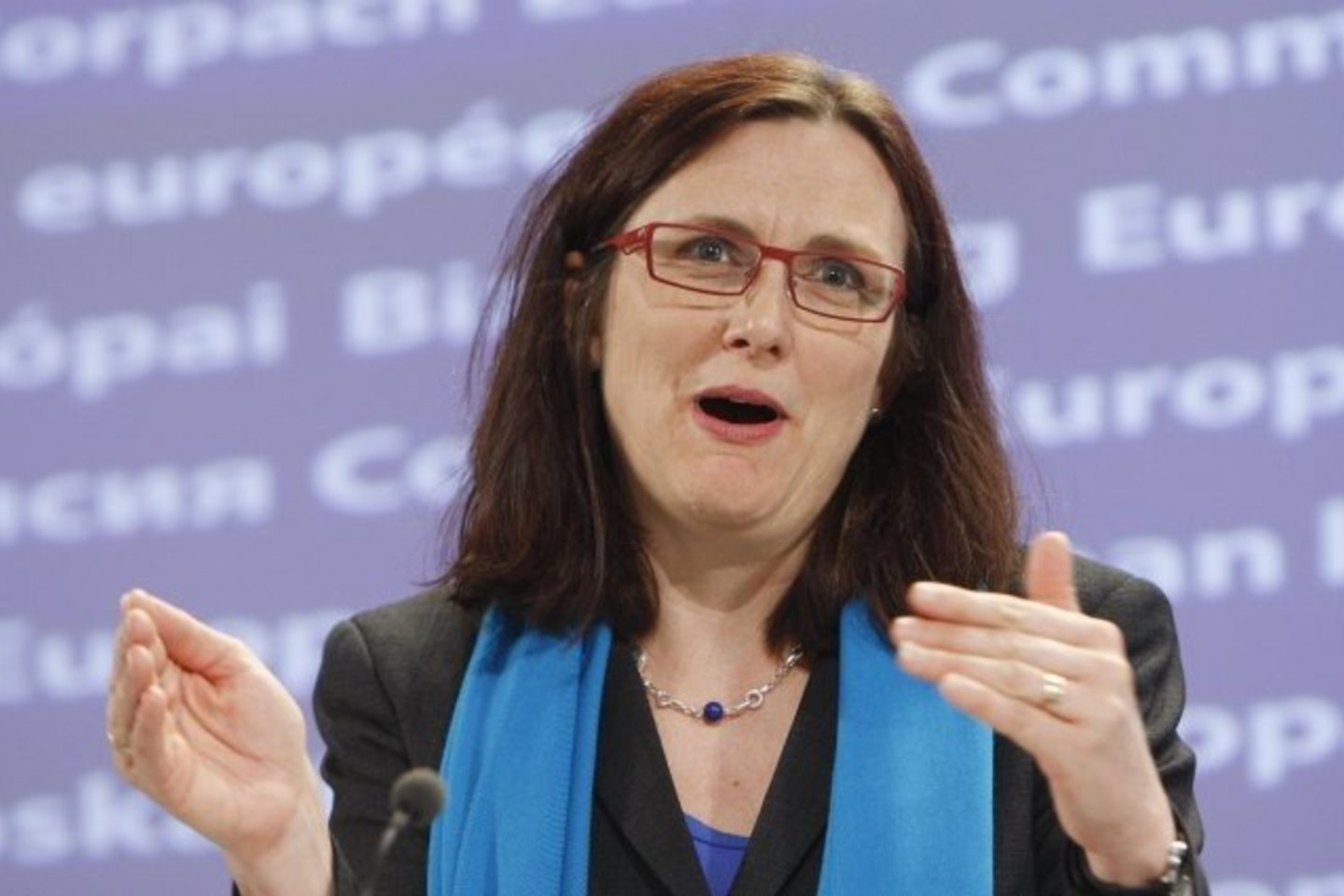 ES vidaus reikalų komisarė C.Malmstroem pateikė naujų Europos įstatymų dėl seksualinio vaikų išnaudojimo pasiūlymus.