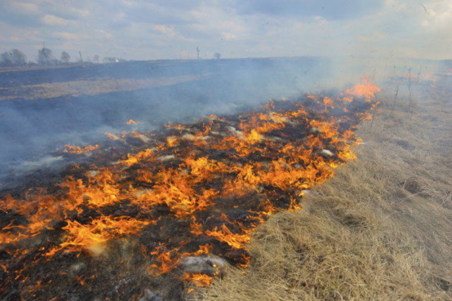 Ugniagesių duomenimis, iš beveik 200 per parą kilusių gaisrų apie 150 susiję žolės deginimu.