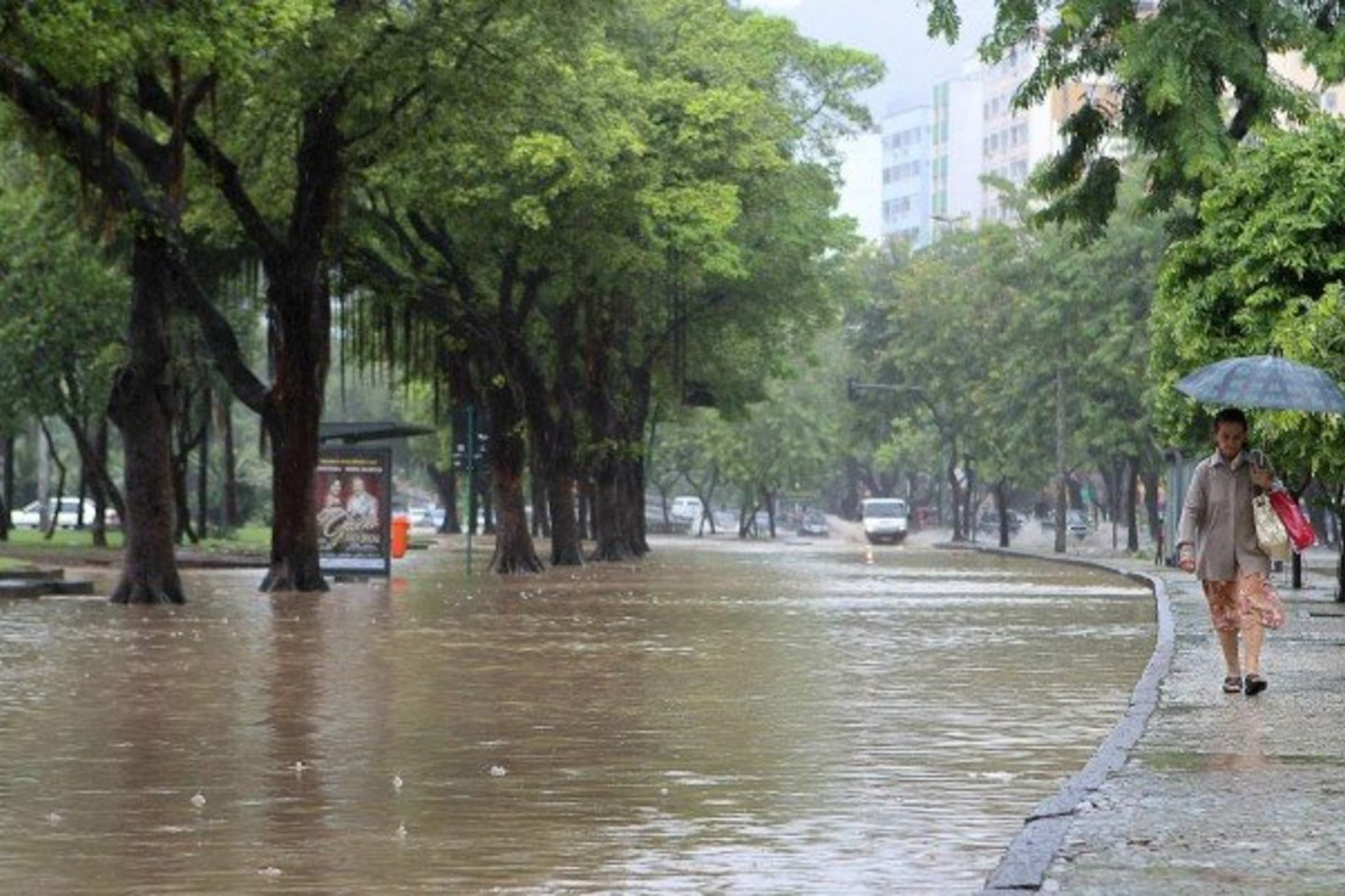 Liūtis miestą skalavo 15 valandų.