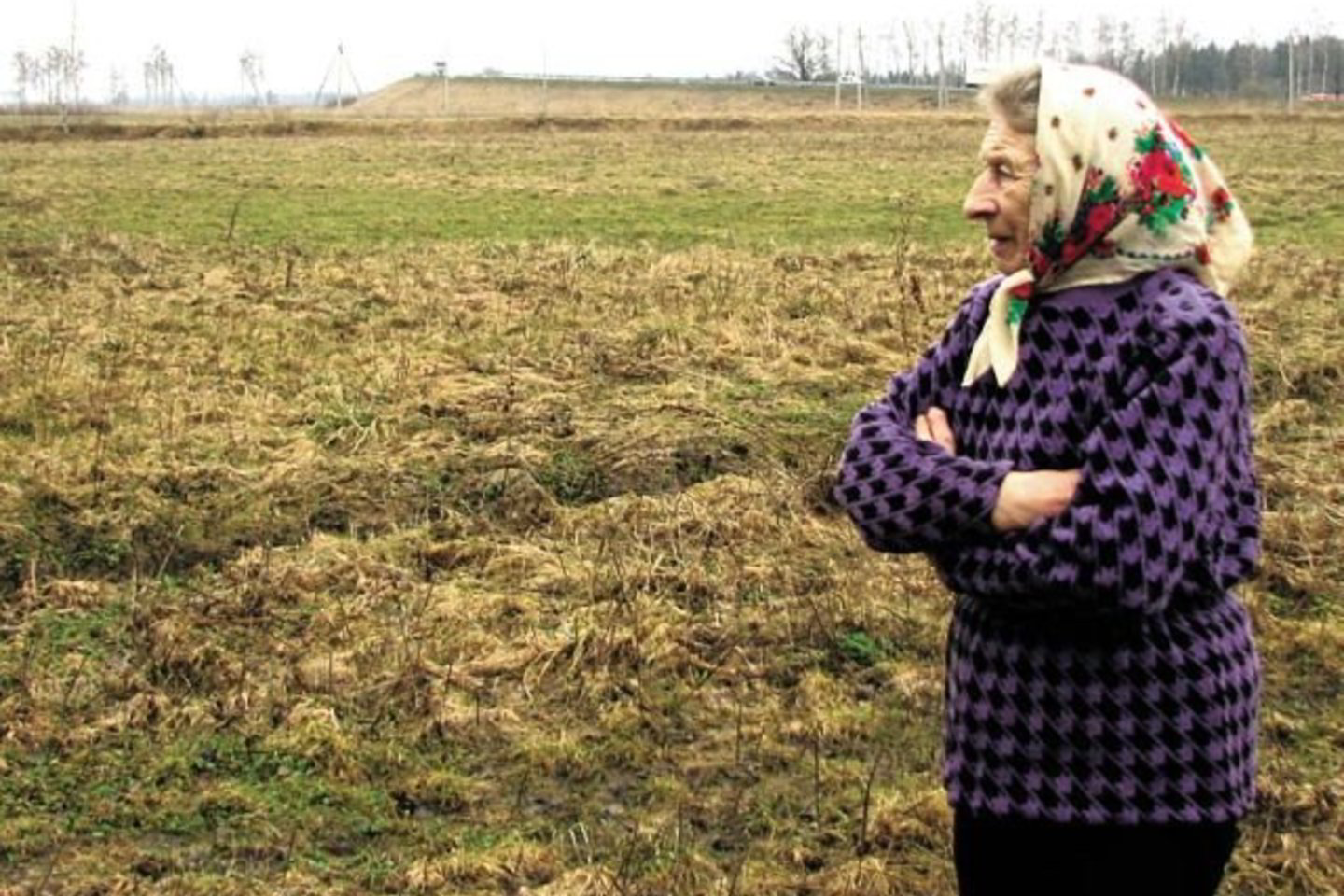Visą gyvenimą bites mylėjusi Sitkūnų kaimo (Kauno r.) gyventoja Zosė Barkauskienė susigraudina prisiminusi išžudytas biteles.
