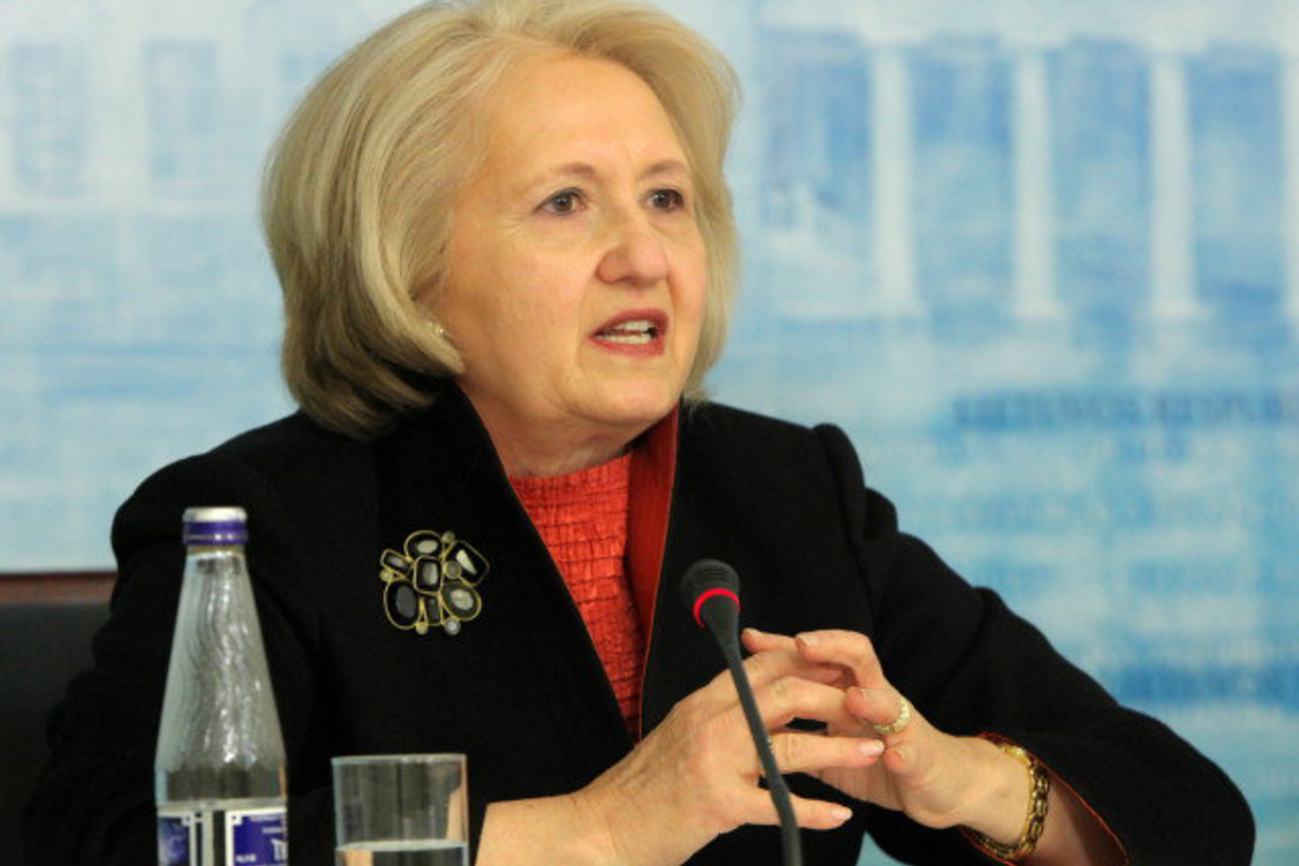 Melanne S.Verveer pabrėžė Lietuvos vaidmenį Afganistane.