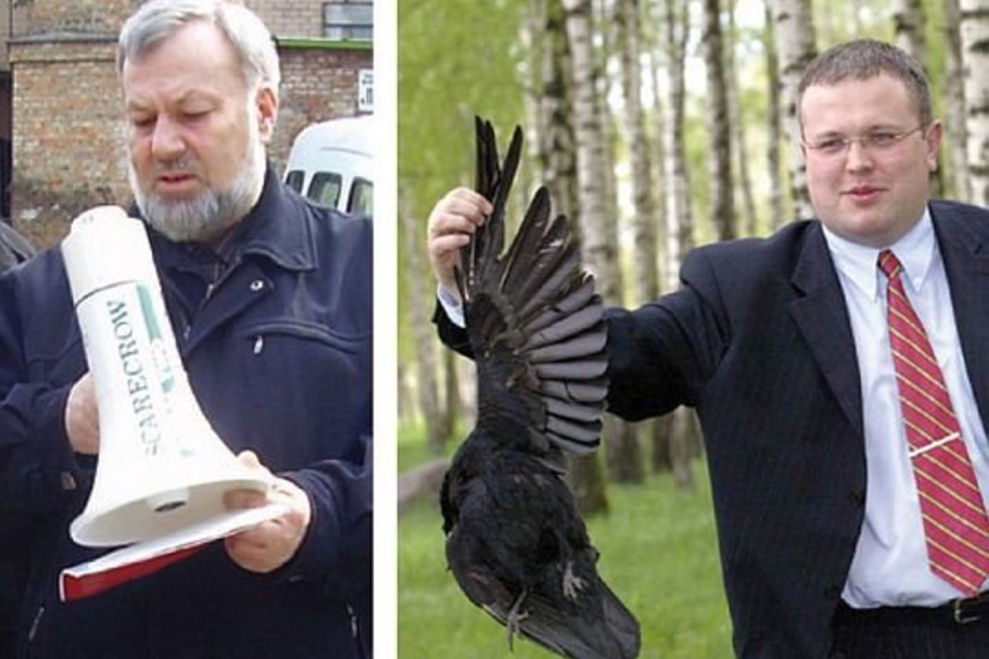 Buvęs Biržų rajono meras Vytautas Zurba (nuotr.kairėje) dabar visus gali pamokyti paukščių išgujimo meno, o Panevėžio apskrities viršininkas Viktoras Trofimovas anksčiau miesto savivaldybėjė užsiiminėjo varnų naikinimo reikalais, bet efekto taip ir nepasiekė.