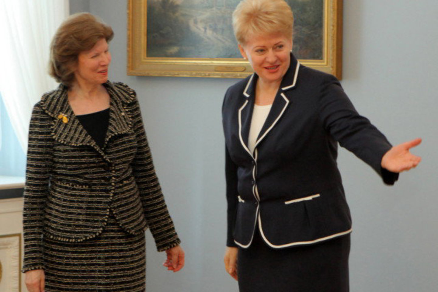 „Transparency International“ vadovė padėkojo prezidentei D.Grybauskaitei už asmeninį indėlį kovoje su korupcija.