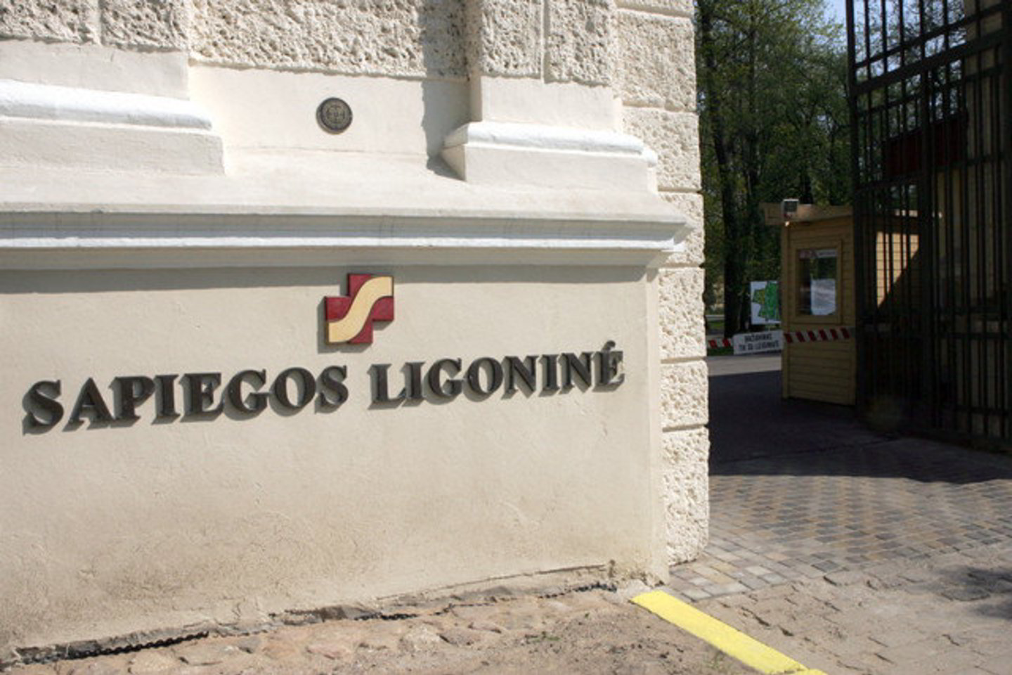 Sapiegų rūmų ir netoliese įsikūrusios ligoninės pastatai paskelbti valstybės saugomos kultūros paveldo objektais.
