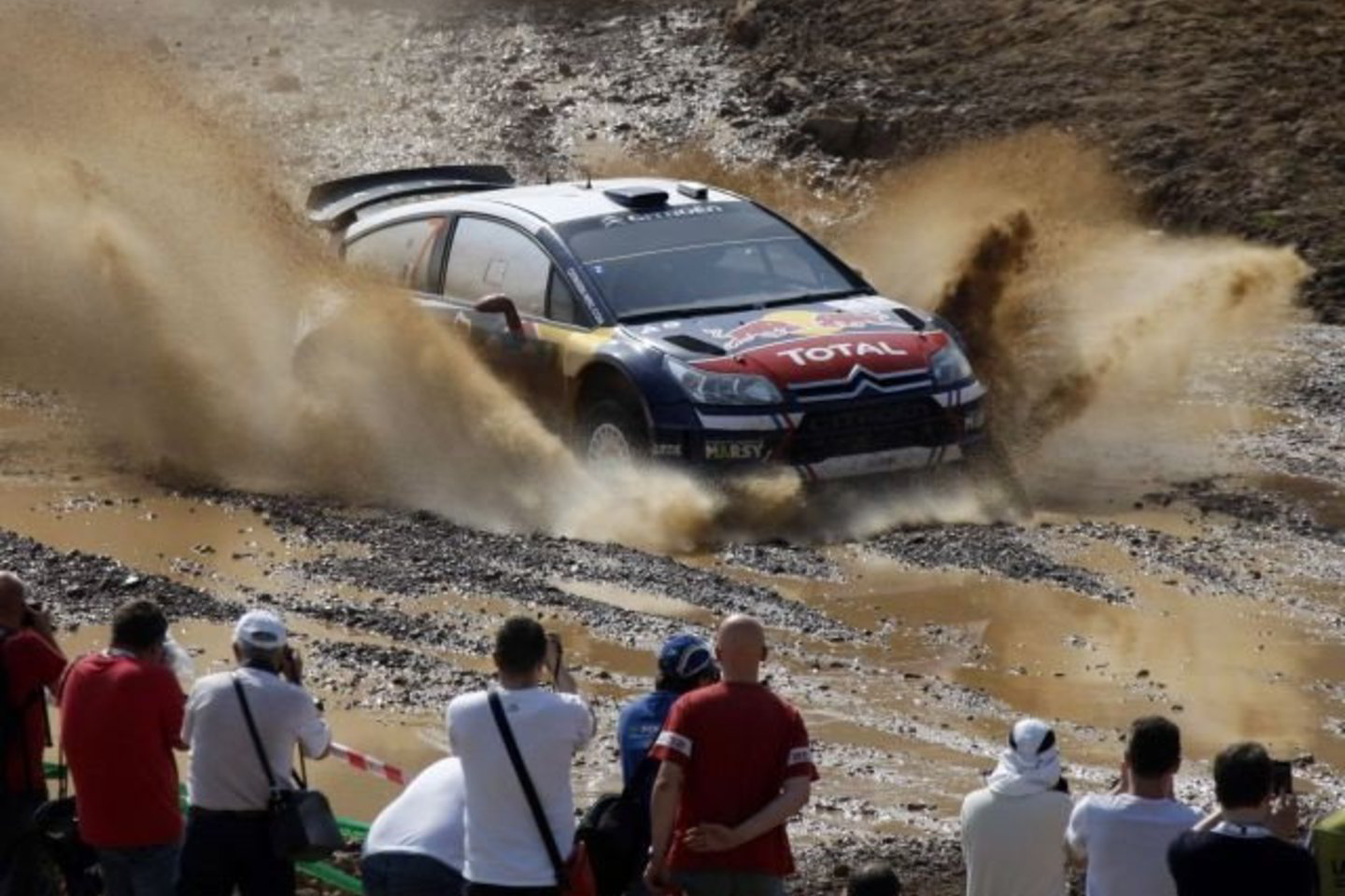 S.Ogier įsiveržė į priekį.