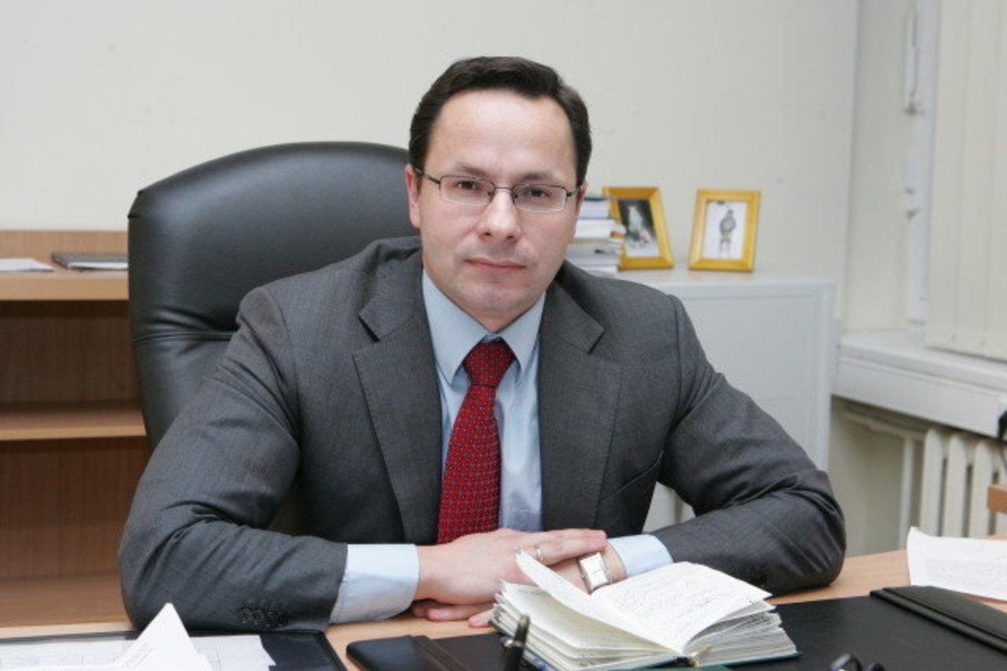 2002-2004 metais Ž.Pavilionis buvo URM Europos integracijos departamento direktorius.