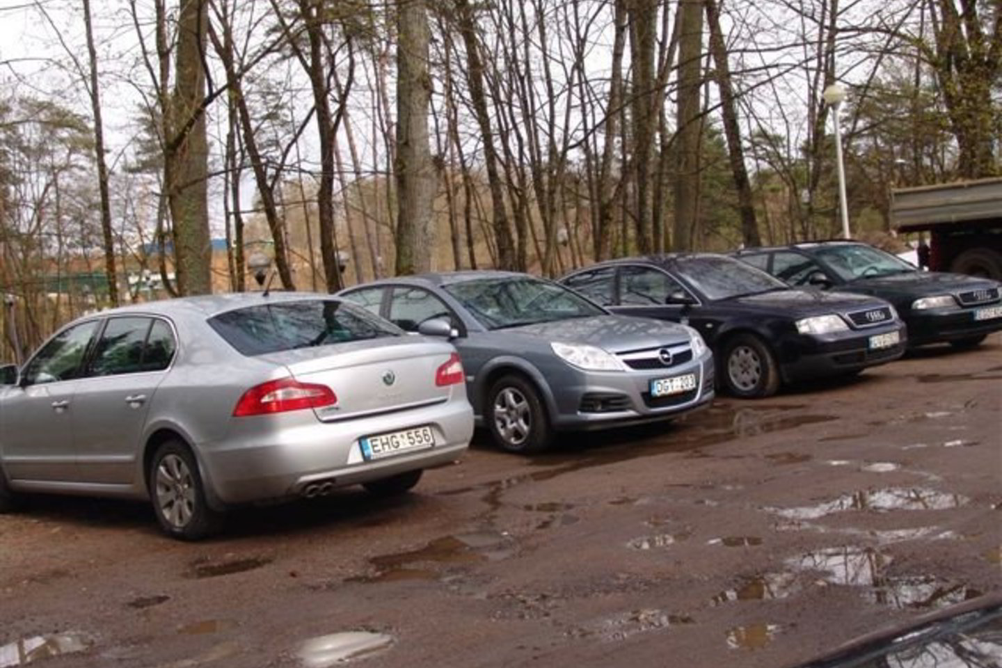 Su galingomis merų mašinomis rajonų politikai sulėkė į Druskininkus - savo gebėjimų stiprinti ar kurorto mero sveikinti? lrytas.lt nuotr.