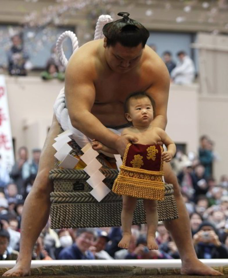 Sumo imtynininkai su vaikais ant rankų priešais teisėjus stoja po du vienas priešais kitą.