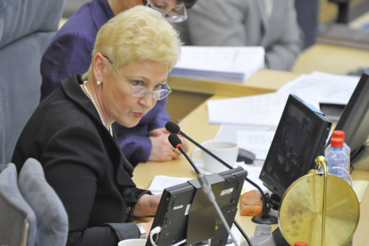 Seimo vadovė sulauks dar vienos interpeliacijos.