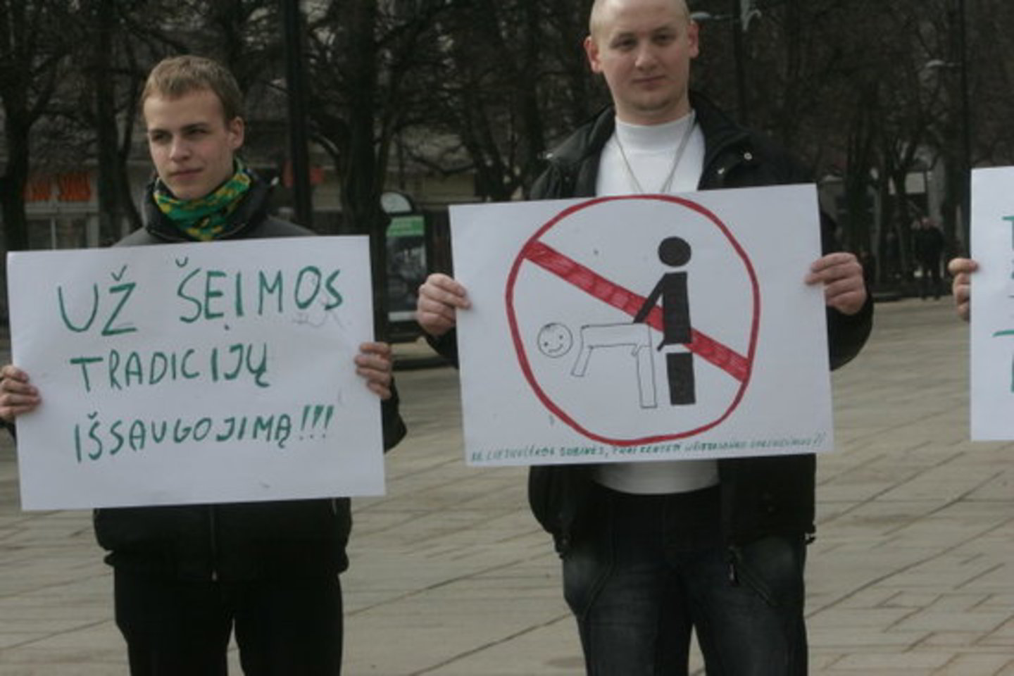 Eitynių priešininkai kalbėdami taip pat negailėjo kritikos valdančiajai Tėvynės sąjungos-Lietuvos krikščionių demokratų partijai, kuri esą nesivadovauja savo programa ir negina šeimos vertybių.