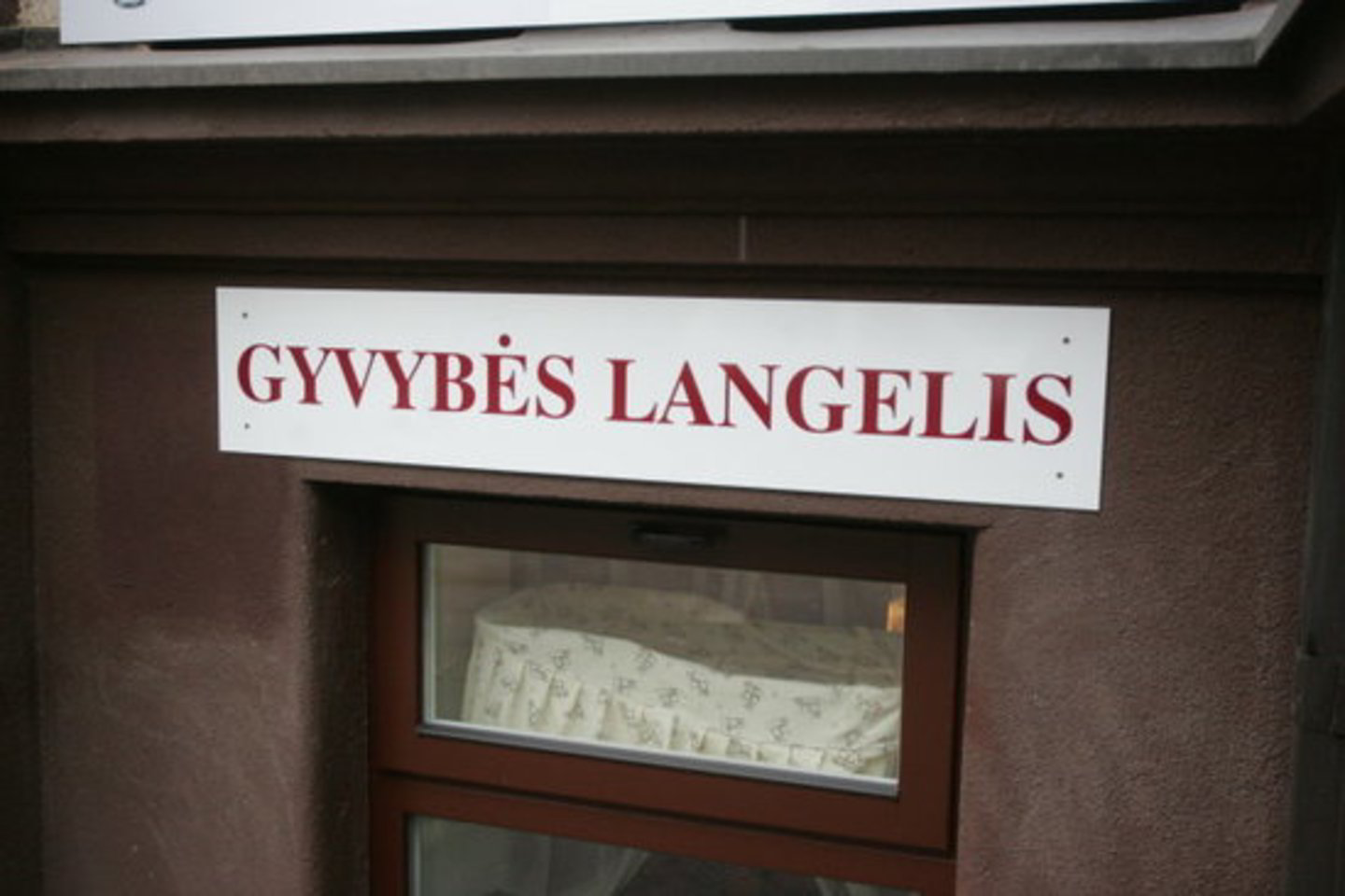 Gyvybės langelis Kaune, P.Mažylio gimdymo namuose, buvo įrengtas šių metų vasario pradžioje.