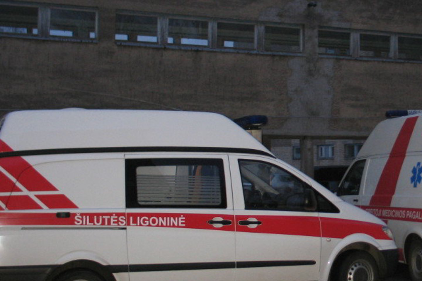 Vyrai Šilutės rajone toliau traumuoja moteris.