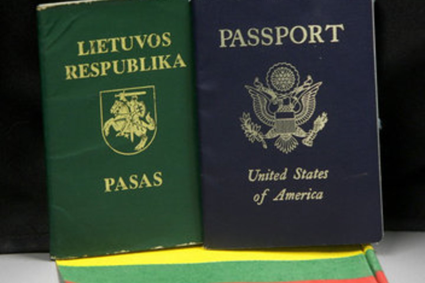 Seimas antradienį svarstė Pilietybės įstatymą.