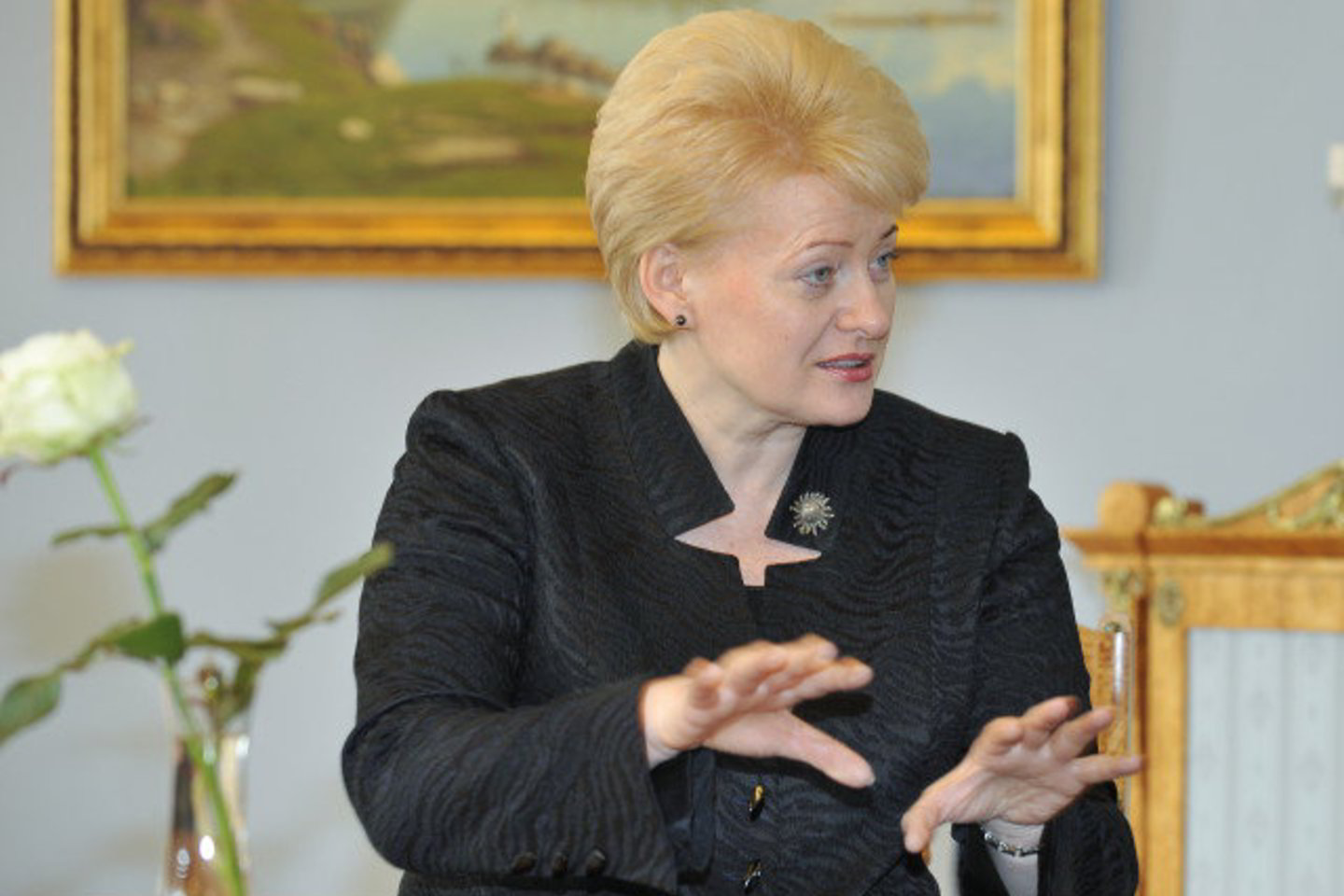 D.Grybauskaitė pabrėžė, kad Lietuvai yra svarbi ne tik dujų, bet ir kitų energetinių išteklių alternatyva.