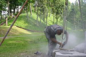 Birštone įsibėgėjo menininkų pleneras „Birštonas 2010“ (nuotraukos)