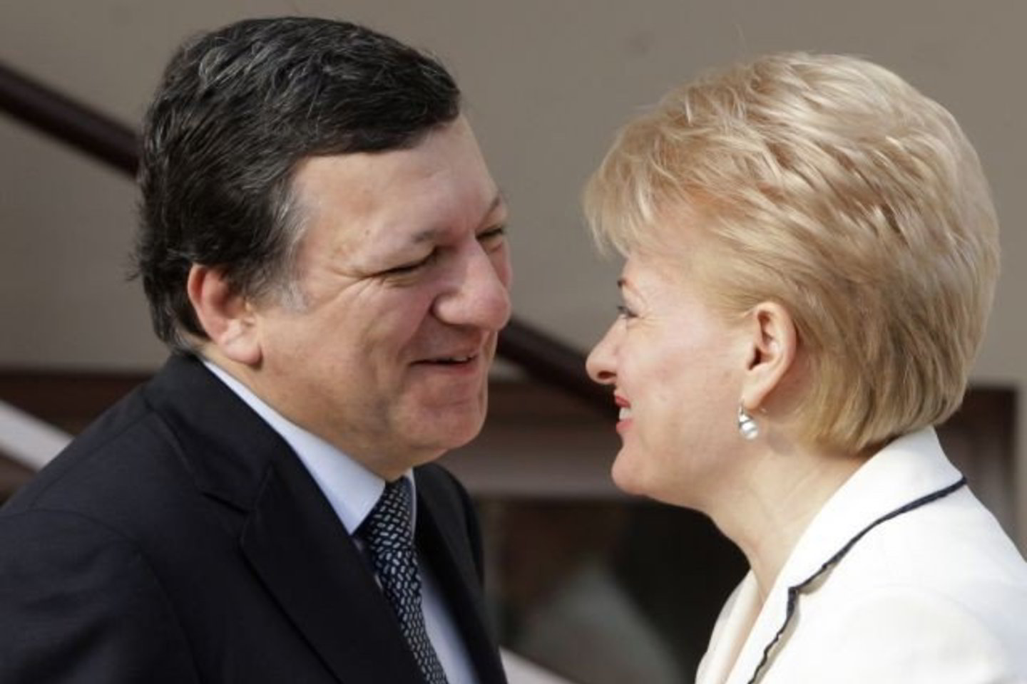 J.M.Barroso ir D.Grybauskaitė susitikime buvo geros nuotaikos.