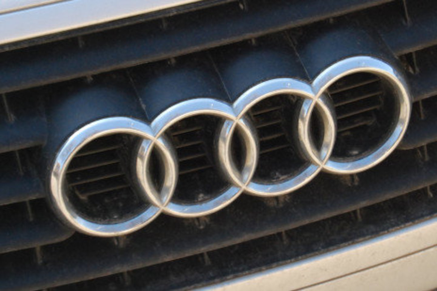 „Audi A4“ ir „BMW“ kėbulai rasti LŽŪU Mokymo poligono angare.