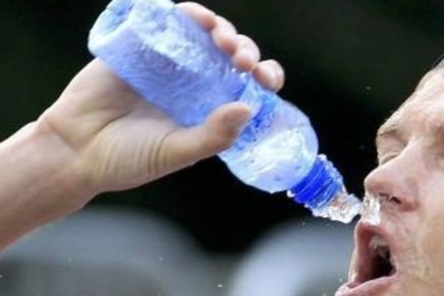 Kiekvienas dalyvis gavo po penkis 0,3 litro talpos butelius negazuoto mineralinio vandens, kuriuos reikėjo išgerti kuo greičiau.