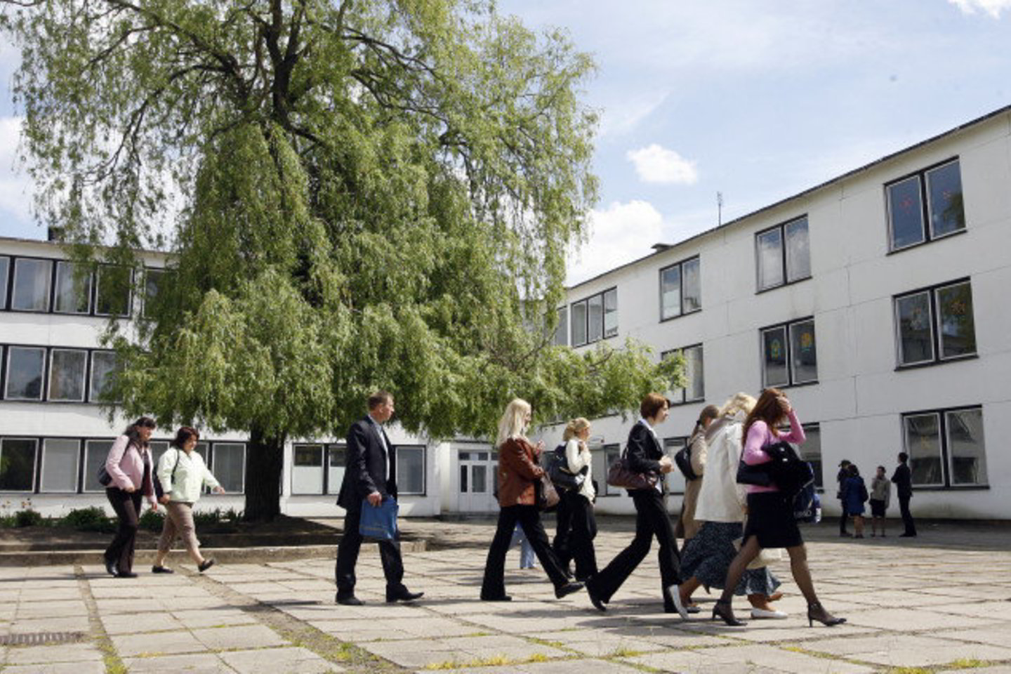 Vilniaus Žirmūnų gimnazijos abiturientai gavo 40 aukščiausių įvertinimų.