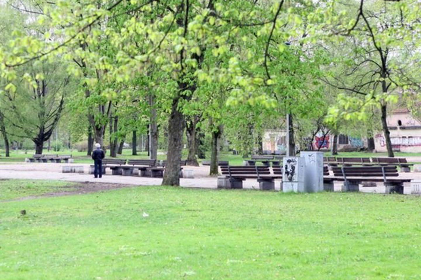 Parkas galėtų atvirsti į anksčiau buvusį botanikos sodą.