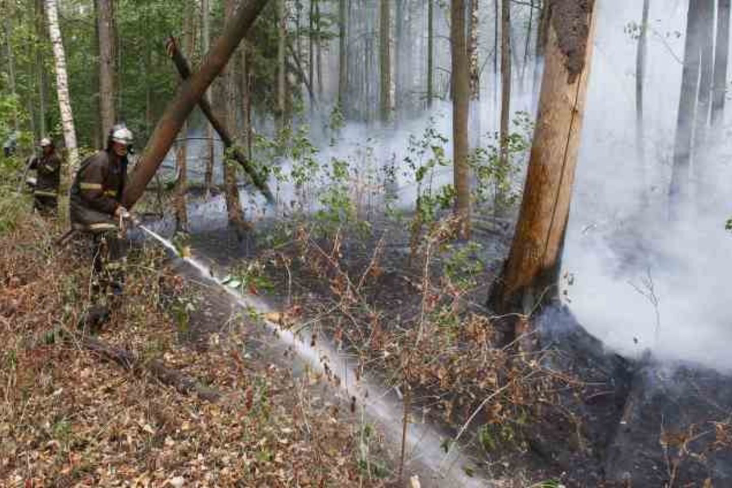 Su liepsnomis iš viso kovoja 150 tūkst. ugniagesių ir gelbėtojų.