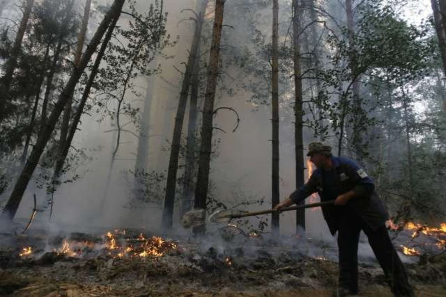 Radioaktyviųjų medžiagų miškuose per mažai, kad jos sukeltų pavojų sveikatai.