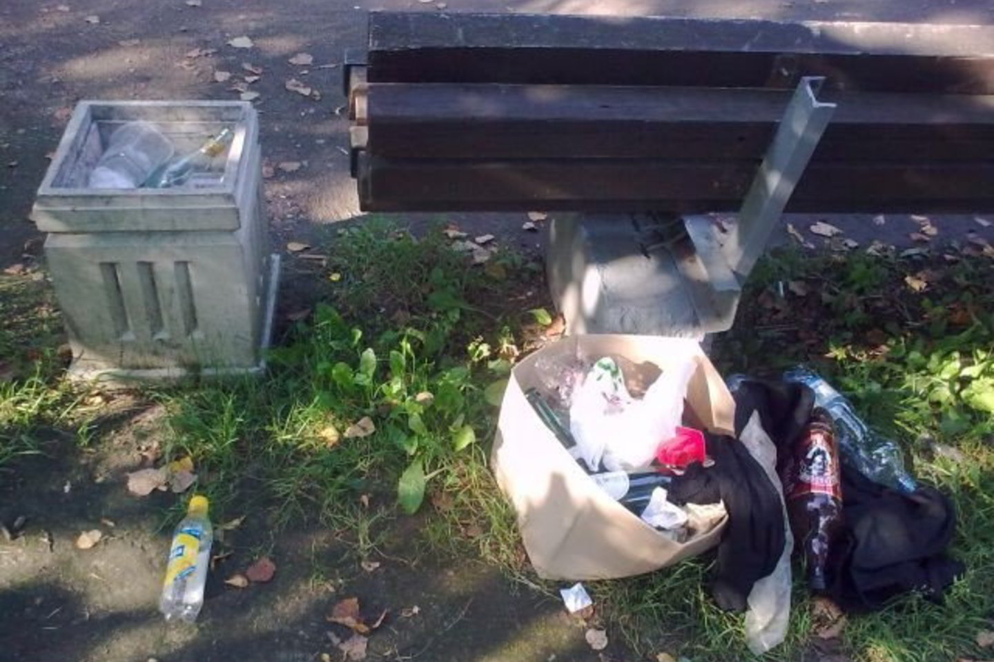 Miesto valdžios aplaidumas ir abejingumas centriniam sostinės parkui daro gėdą miestui ir visiems vilniečiams.