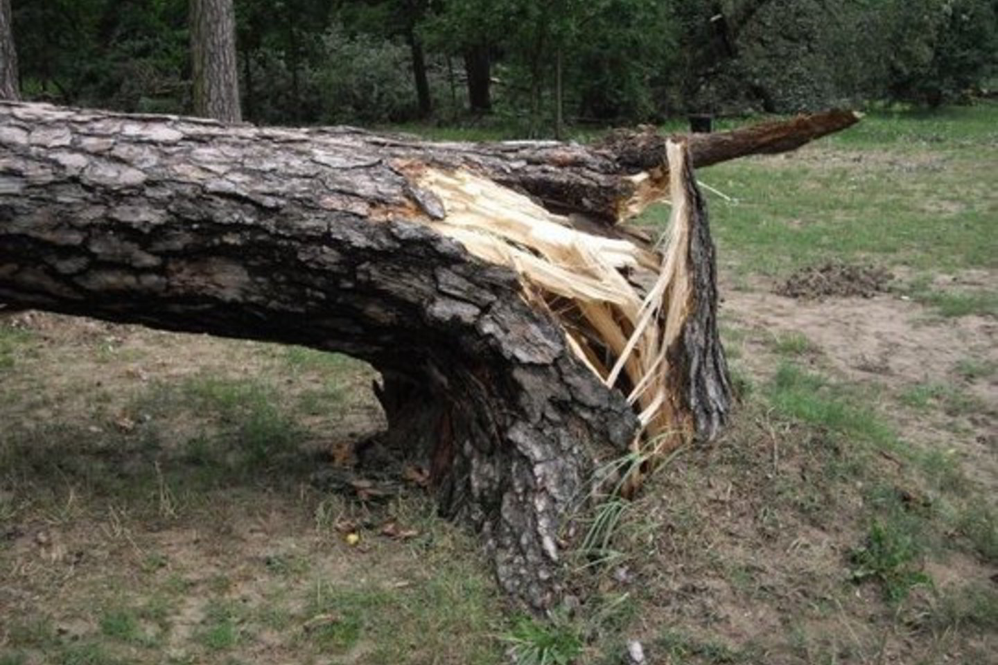 Audros padariniams šalinti sutelktos visos bendrovės pajėgos.