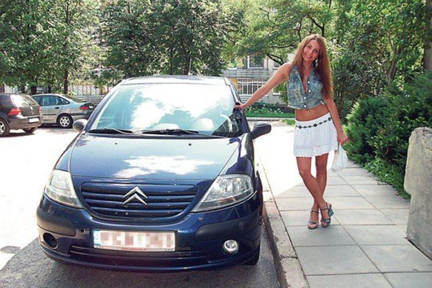 Žinodama, kad automobiliui gali skirti apie 12 tūkstančių litų, J.Beniulienė išsirinko „Citroen C3” modelį.