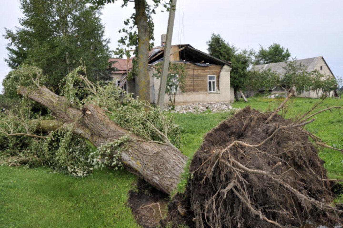 Dažniausiai škvalas susiformuoja didžiausio oro įšilimo prie žemės paviršiaus metu, paprastai popietės valandomis.