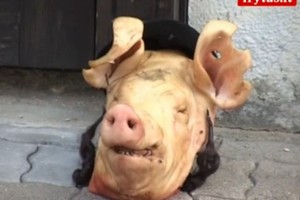 Hanzos šventę Kaune apkartino prie žydų sinagogos numesta kiaulės galva (nuotraukos, video)