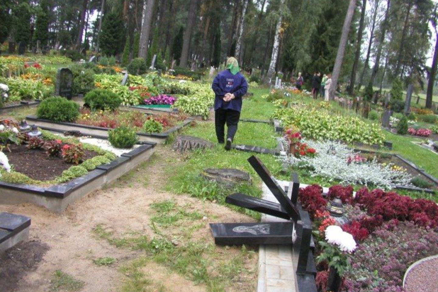 V.Danauskienė