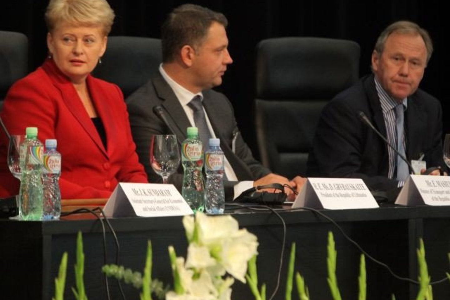 „Išlaikykime interneto kaip laisvos erdvės principus“, - ragino prezidentė.