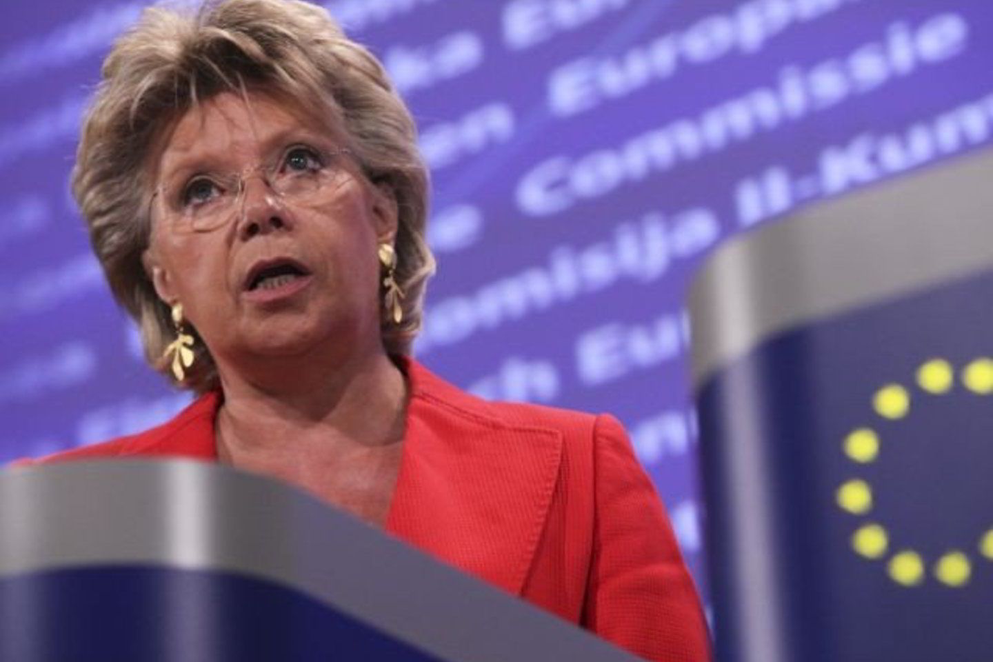 V.Reding Prancūzijos elgesį su romais pavadino gėdingu.