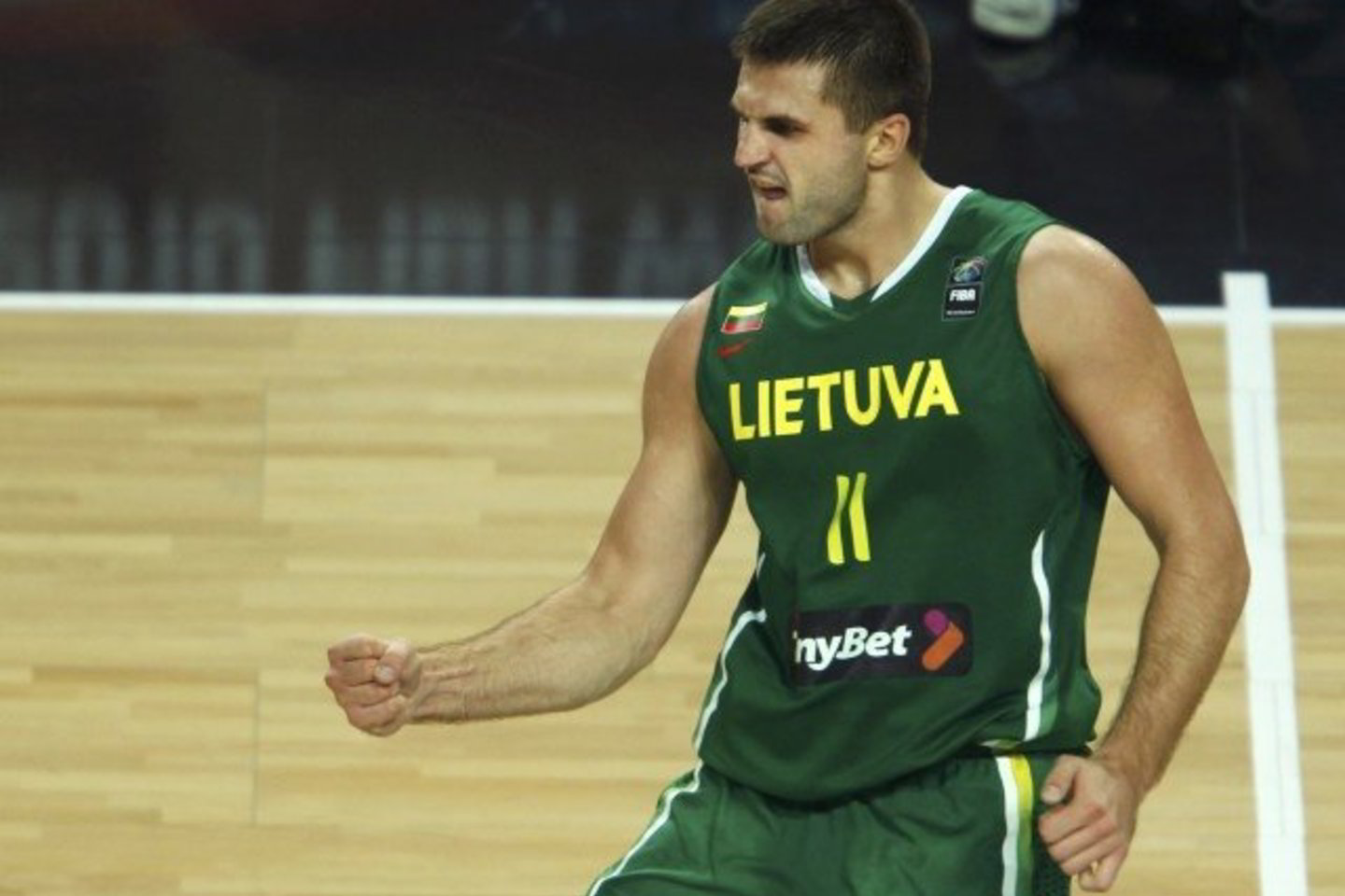 L.Kleiza laukiamas Toronto „Raptors“ klube.