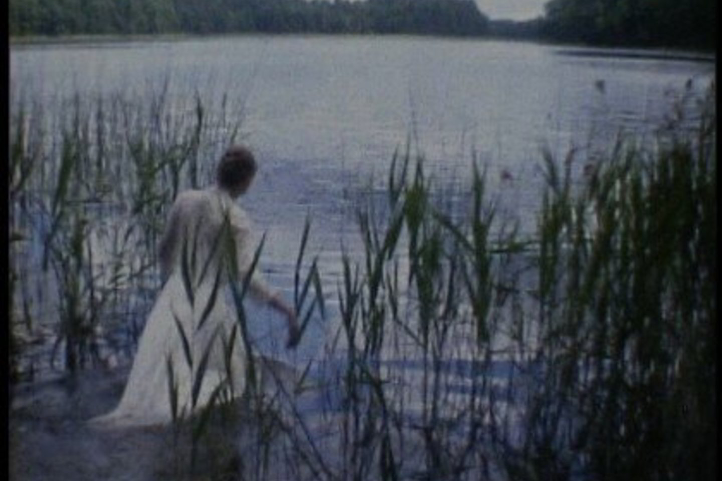 L.Garbštienė pristato savo “Filmą apie nežinomą menininkę” (2009).