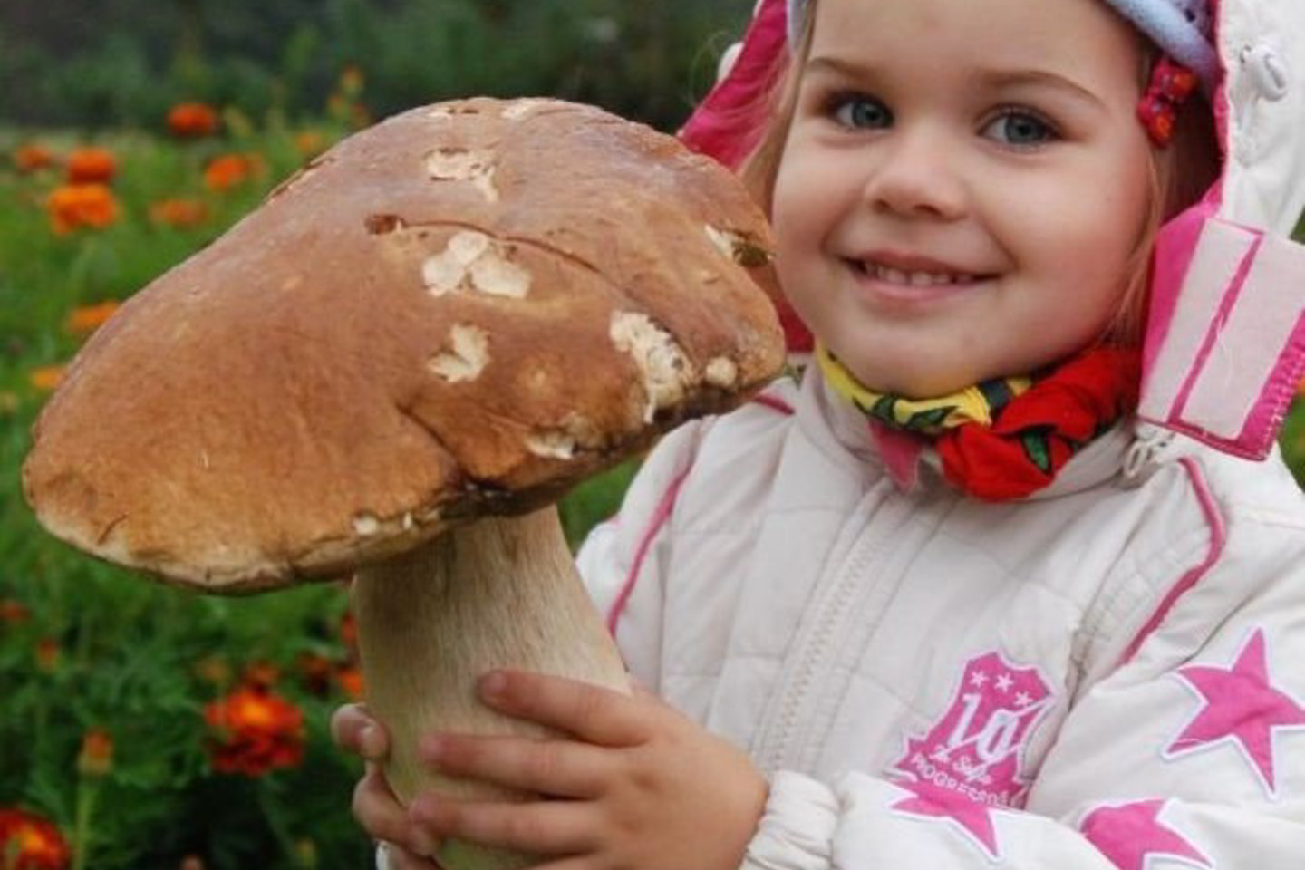 Baravykas svėrė 870 gramų.