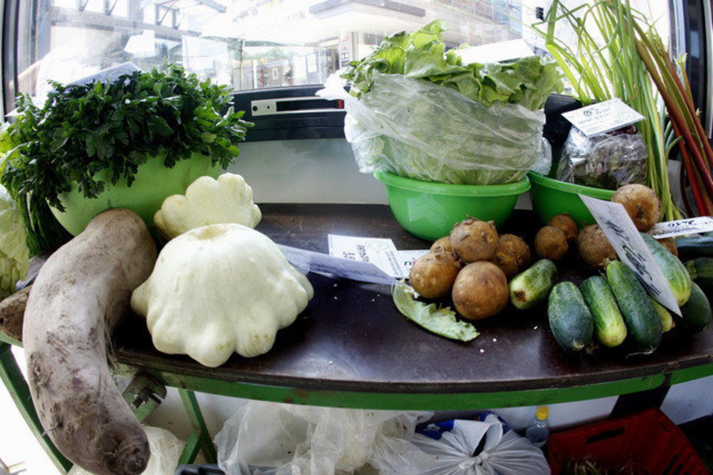 Sostinės Kalvarijų ir Halės turguose bulvių kilogramas kainuoja iki 1,5 lito.