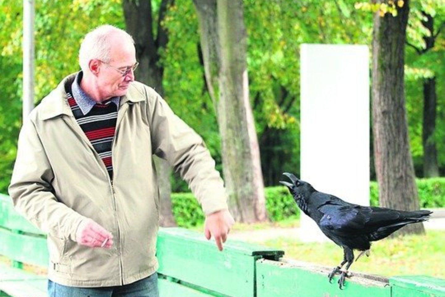 Kranklys su odiniais dirželiais ant kojų kelis kartus smogė vyrui ir bandė iš jo atimti atsineštus skanėstus.