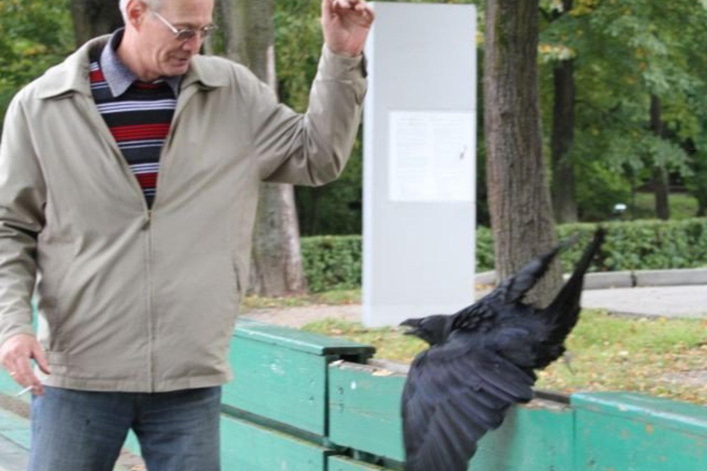 Kranklys puldavo žmones.