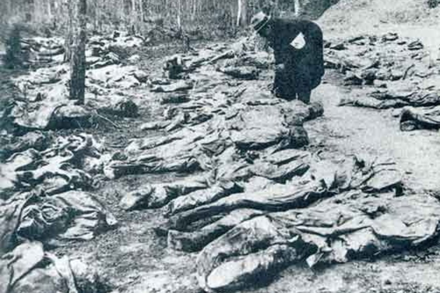 Katynė - tik viena vietų, kur buvo sušaudyti Lenkijos kariai, bet būtent čia 1943 metais buvo pirmą karta buvo rastos jų palaidojimo vietos.
