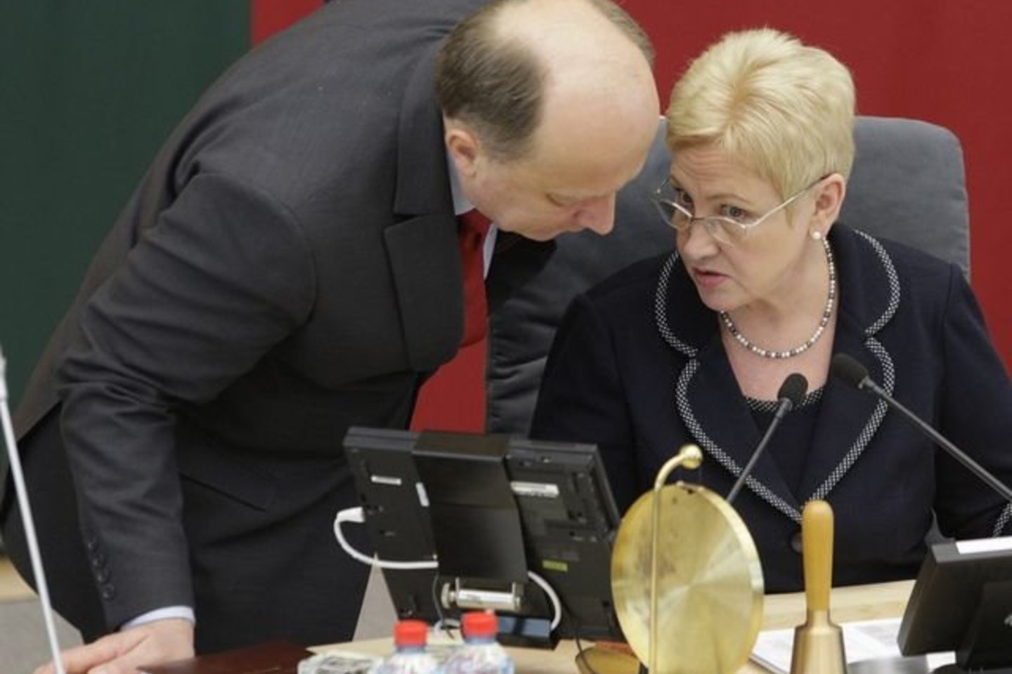 I.Degutienė tvirtino, kad partijos Priežiūros komiteto sprendimas kelia rimtų abejonių.