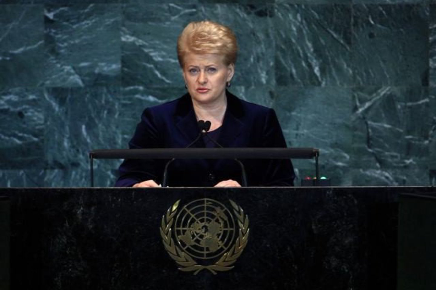 D.Grybauskaitė dalyvauja JT Generalinės asamblėjos darbe Niujorke.